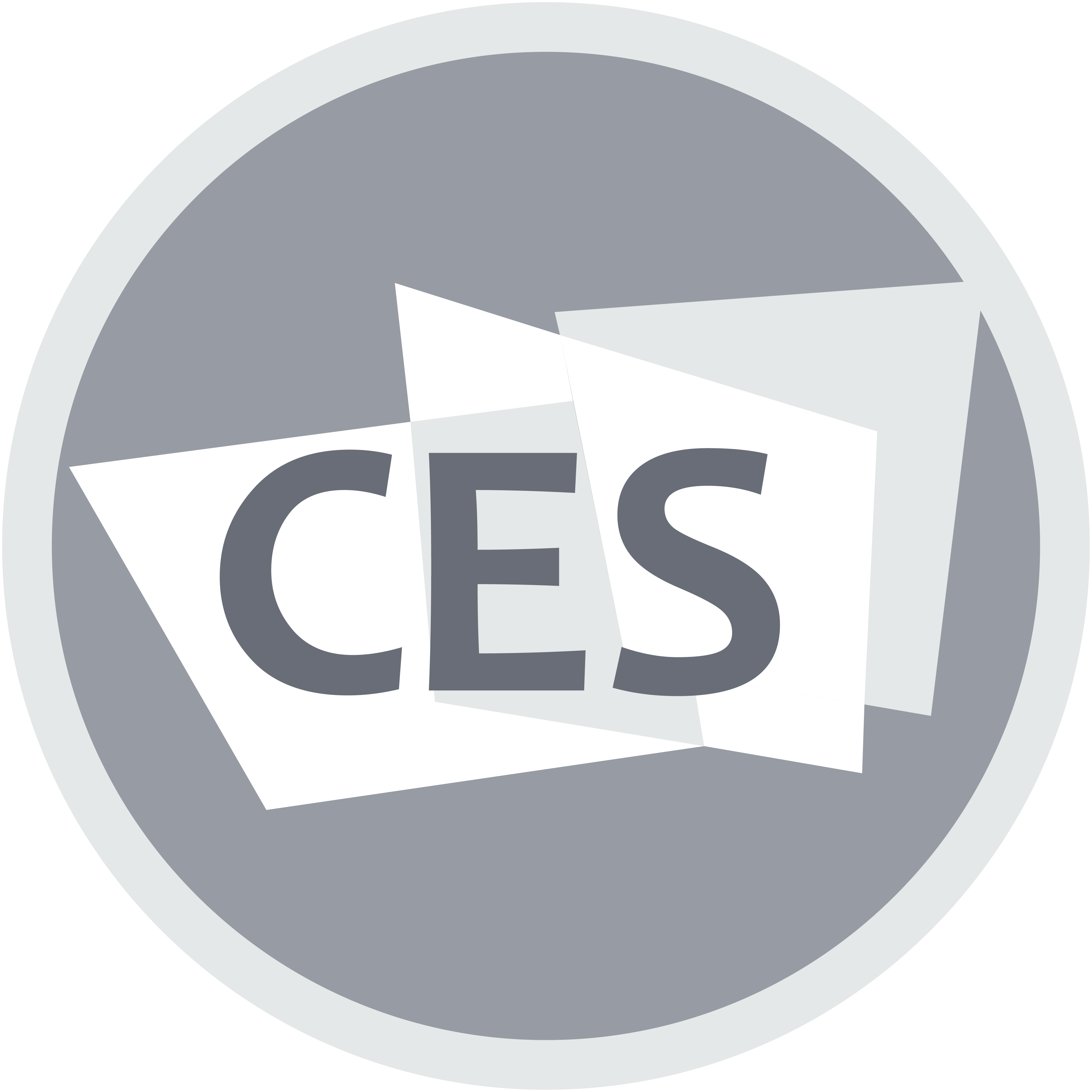 זוכה בפרס החדשנותבתערוכת CES העולמית