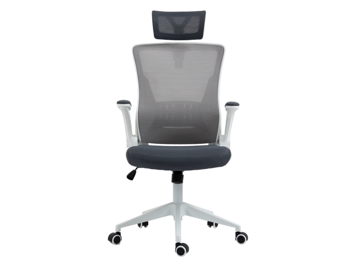 כיסא משרדי HARVARD מורכב מתצוגה