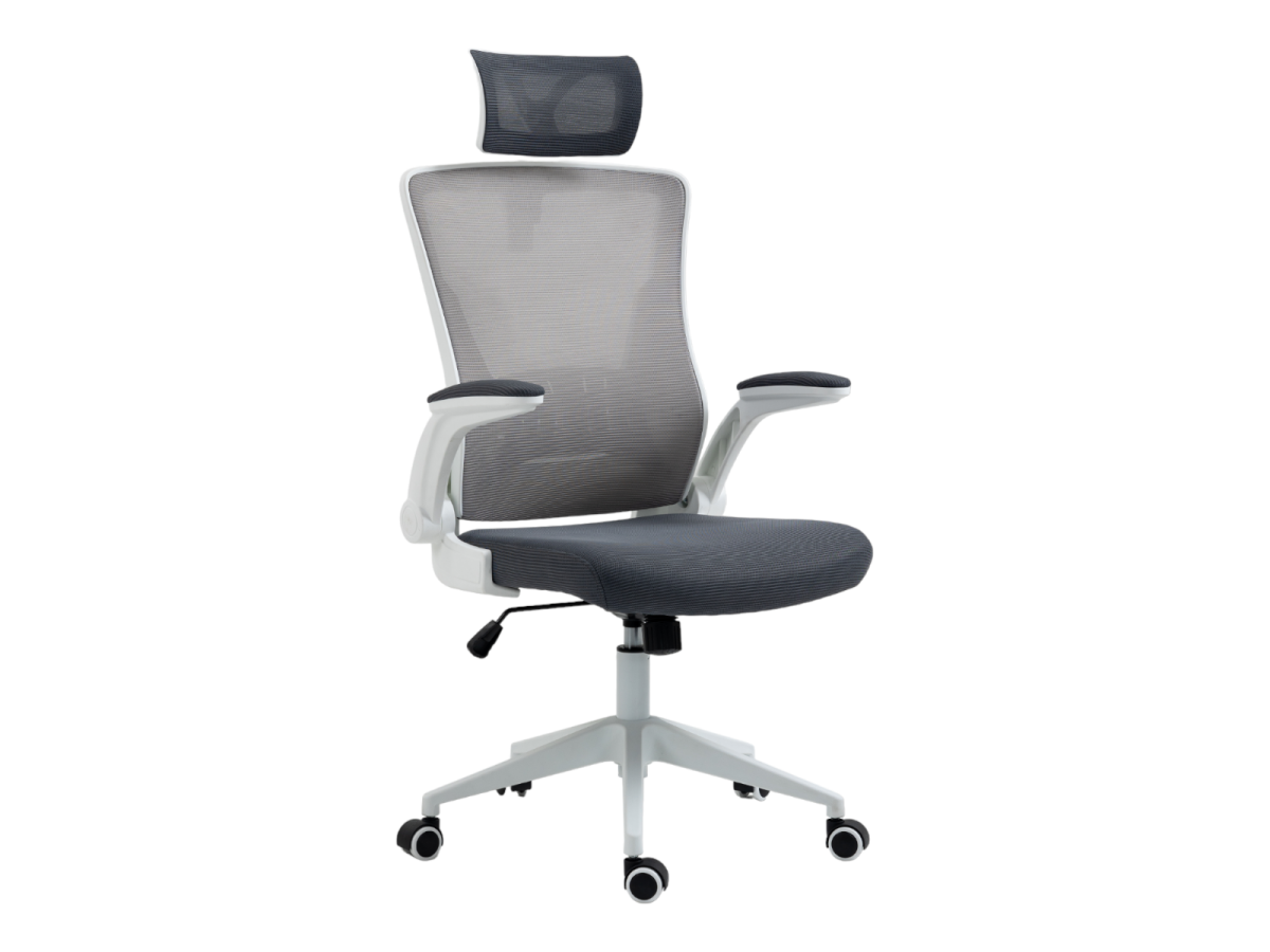 כיסא משרדי HARVARD מורכב מתצוגה