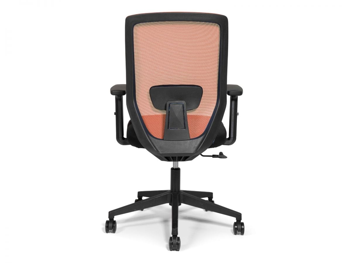 כסא משרדי BACK CENTER מורכב מתצוגה