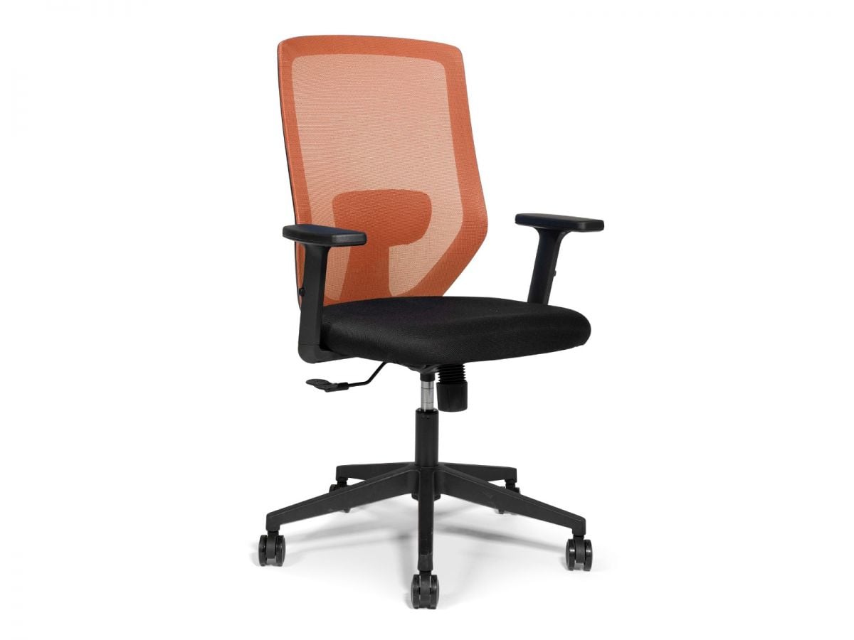 כסא משרדי BACK CENTER מורכב מתצוגה