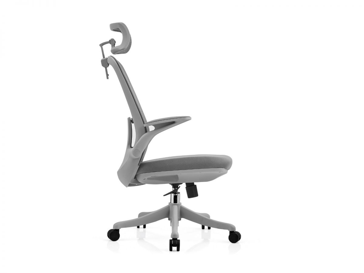 כיסא משרדי CAMPUS מורכב מתצוגה