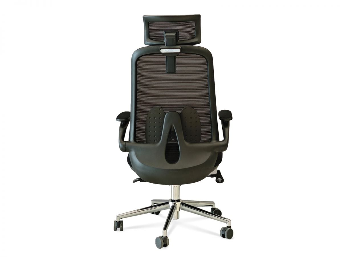 כיסא משרדי CAMPUS XL TOP מורכב מתצוגה