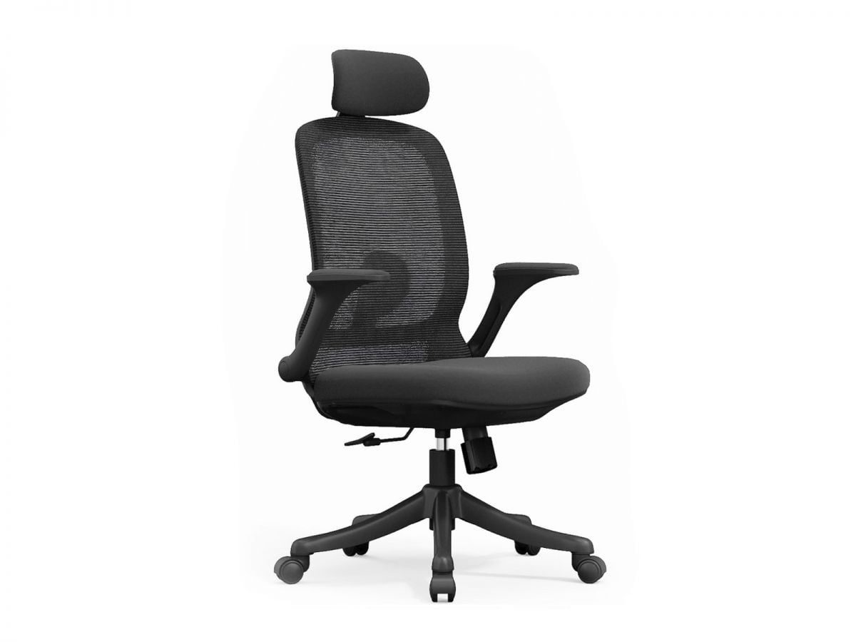 כיסא משרדי COLLEGE XL