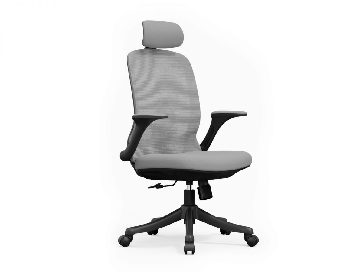 כיסא משרדי COLLEGE XL מורכב מתצוגה