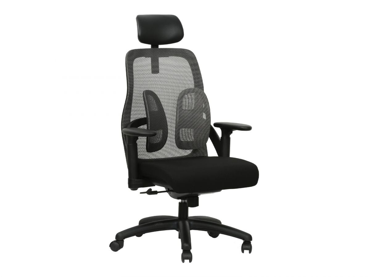  כסא מנהלים ומנהלות DOUBLE SUPPORT מורכב מתצוגה