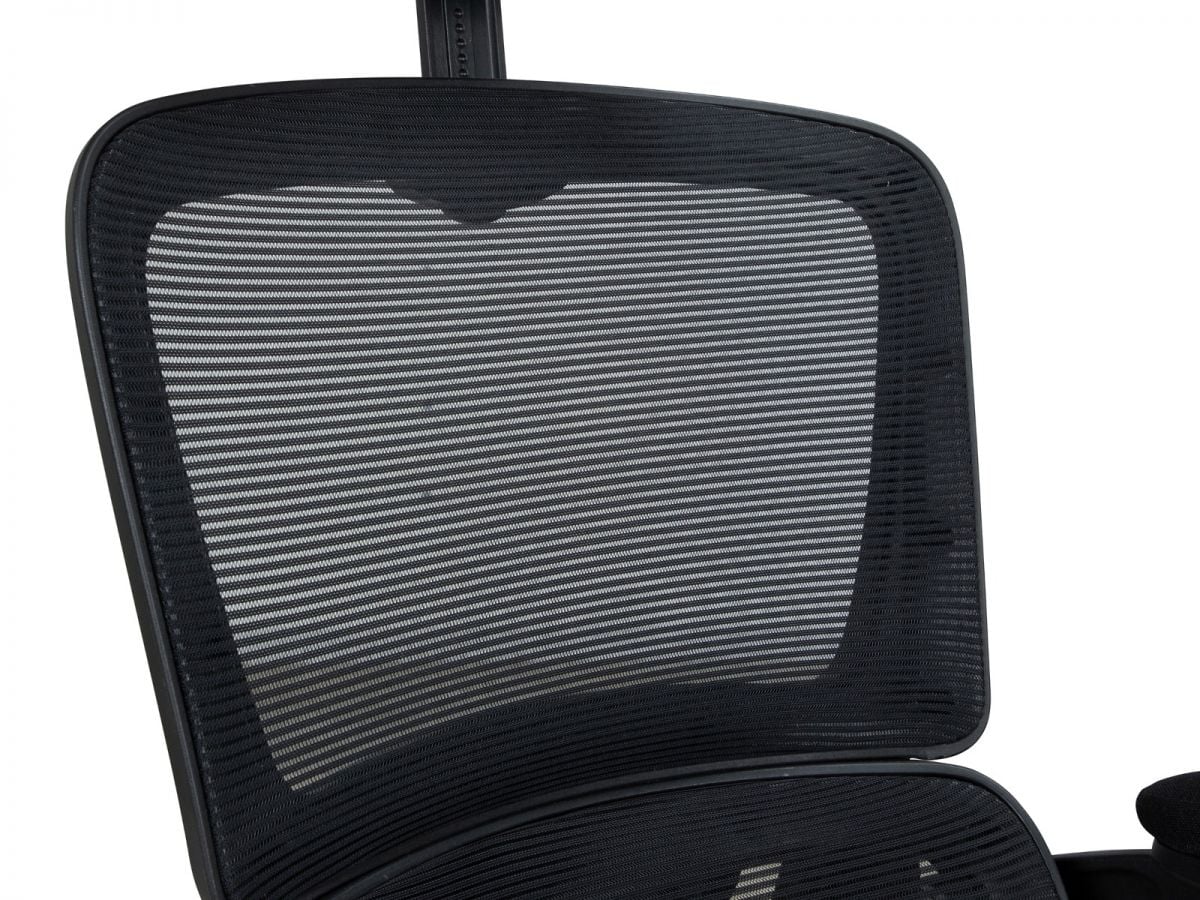 כיסא משרדי ERGOMAX מורכב מתצוגה