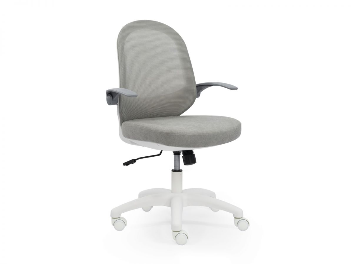 כיסא תלמיד FALCON מורכב מתצוגה