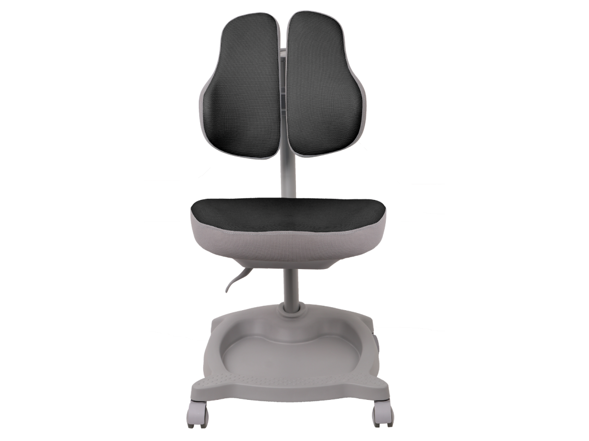 כסא תלמיד NEPTUNE מורכב מתצוגה