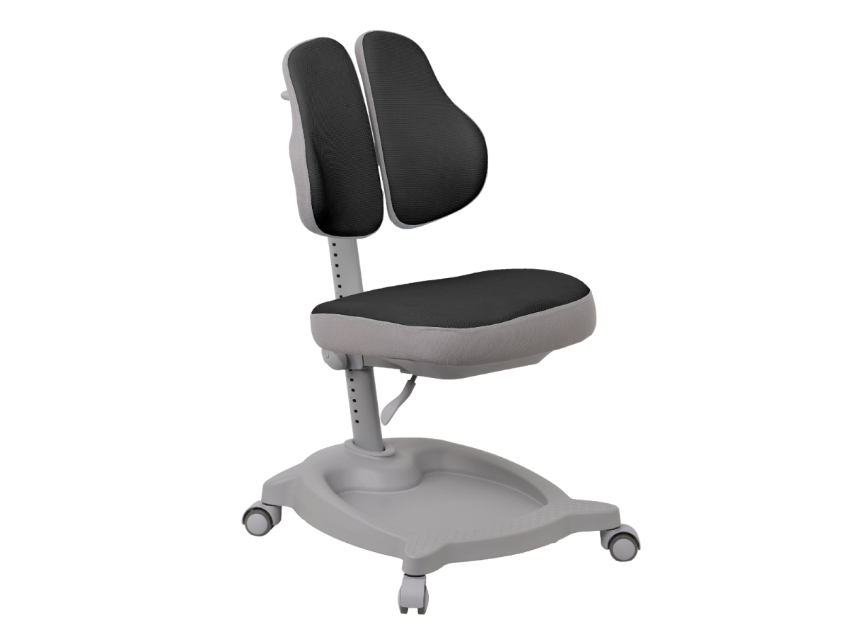 כסא תלמיד NEPTUNE מורכב מתצוגה