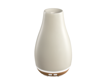 מבשם אוויר BLOSSOM