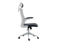 כיסא משרדי HARVARD מורכב מתצוגה