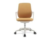 כיסא תלמיד PHOENIX