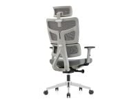 כיסא משרדי EXTRA COMFORT XL מורכב מתצוגה