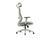 כיסא משרדי ERGOFIT