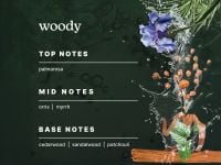 שמן למבשם אוויר FOREST WHISPER SERENESCENT OIL 120 מ