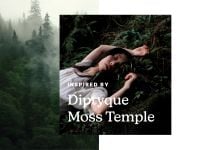 שמן למבשם אוויר FOREST WHISPER SERENESCENT OIL 120 מ