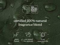 שמן למבשם אוויר FOREST WHISPER SERENESCENT OIL 120 מ