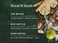 שמן למבשם אוויר PARISIAN AFFAIR SERENESCENT OIL 120 מ