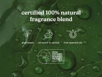 שמן למבשם אוויר PARISIAN AFFAIR SERENESCENT OIL 120 מ