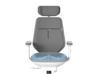 כיסא מנהלות ומנהלים BACKROBO