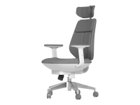 כיסא מנהלות ומנהלים BACKROBO