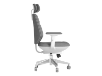 כיסא מנהלות ומנהלים BACKROBO