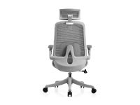 כיסא משרדי CAMPUS מורכב מתצוגה