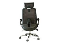 כיסא משרדי CAMPUS XL TOP מורכב מתצוגה