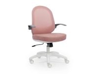 כיסא תלמיד FALCON