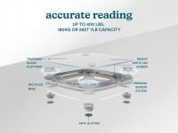 משקל דיגיטלי GLO BODY SCL-BBC250 