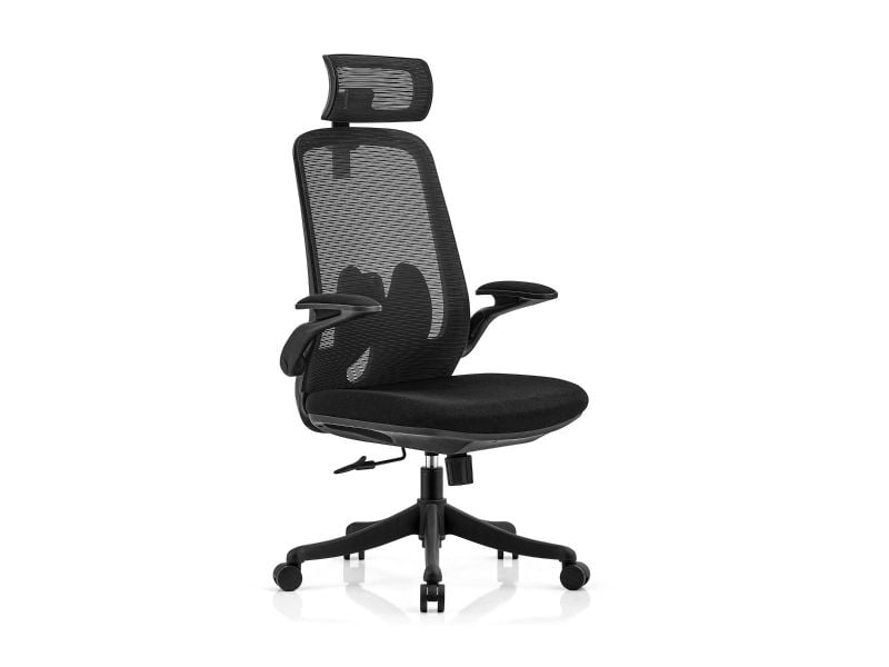 כיסא משרדי CAMPUS XL