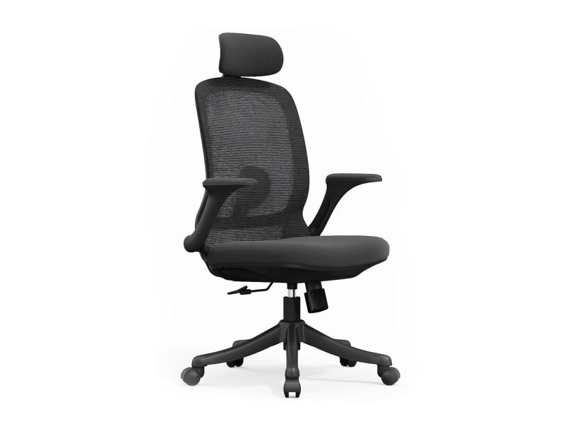 כיסא משרדי COLLEGE XL מורכב מתצוגה