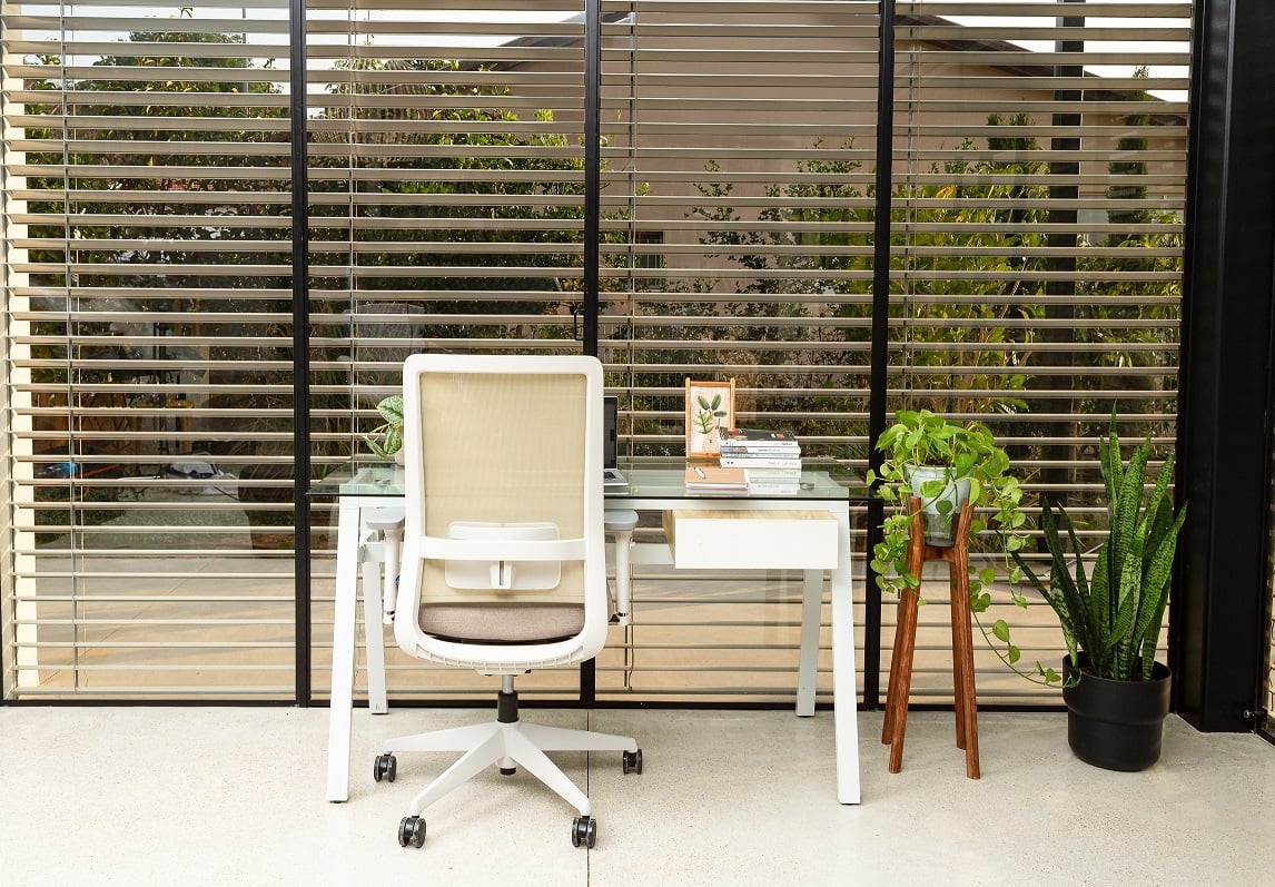 חוזרים ללימודים עם הדוקטור 2023 - תמונה מספר 1