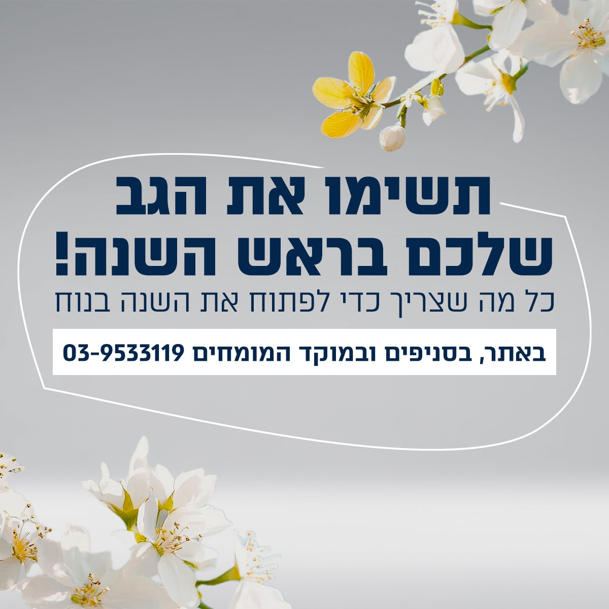 מבצעים מיוחדים על מגוון קטגוריות בד"ר גב