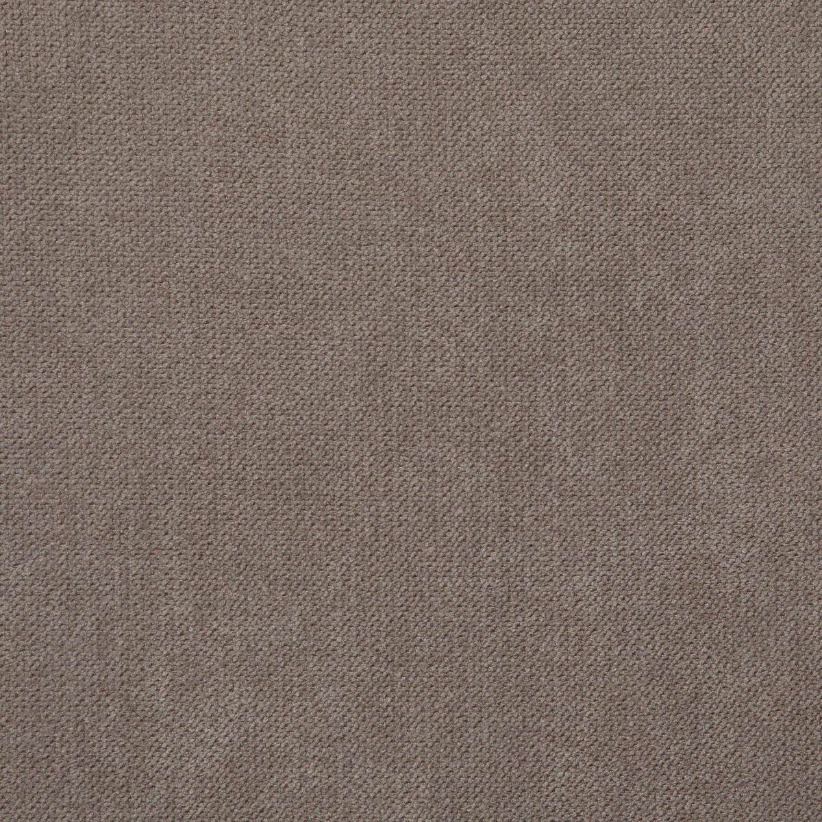 C559