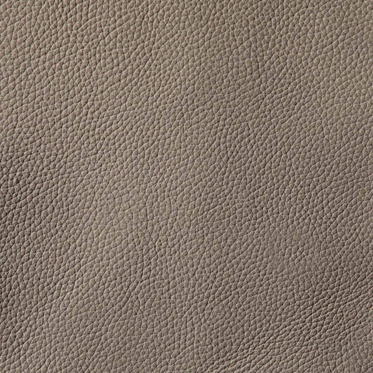 NL5103